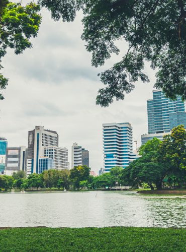 Árboles en la ciudad ¿Los vemos?